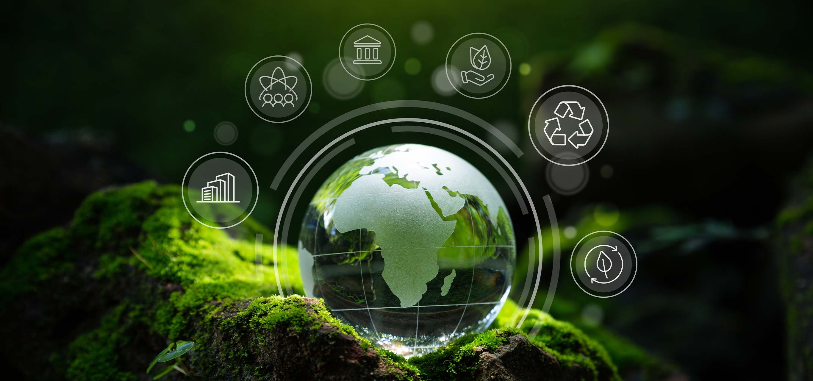 A Strategic Vision for a Sustainable Future