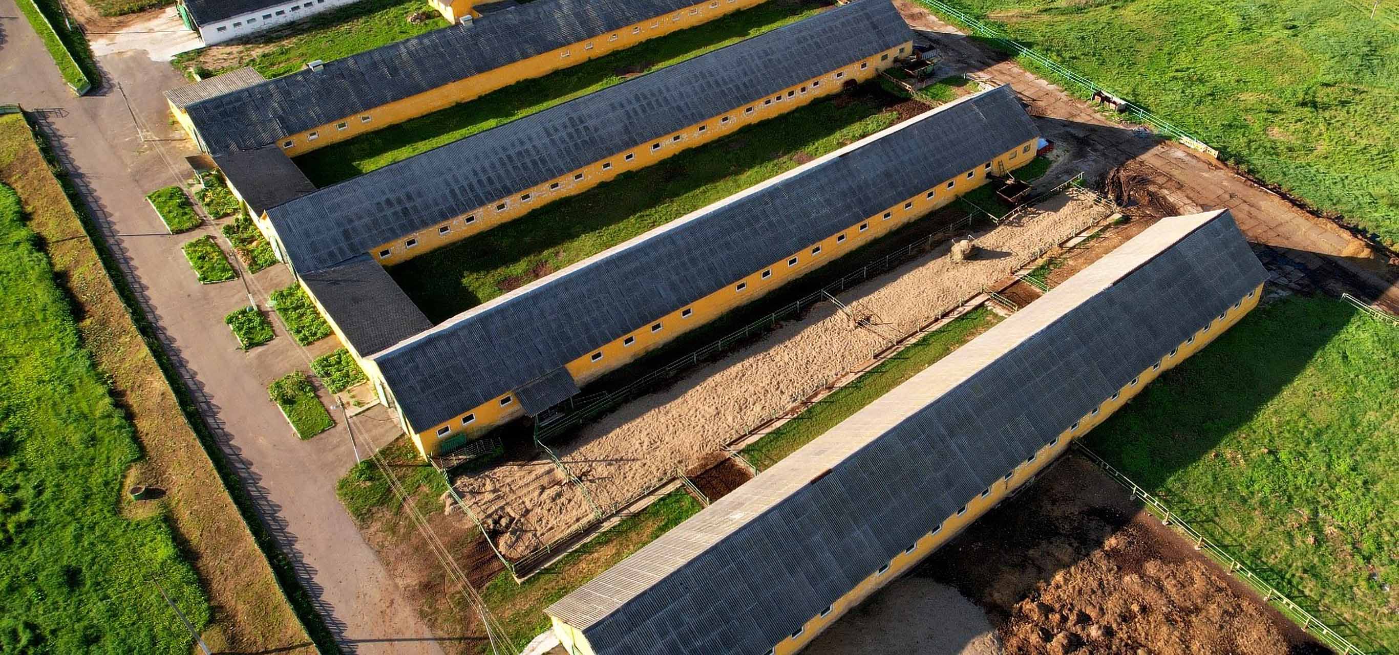 SUSTAINABILITY, ANIMAL WELFARE AND BUSINESS EFFICIENCY; ALL ROUND TRANSFORMATION