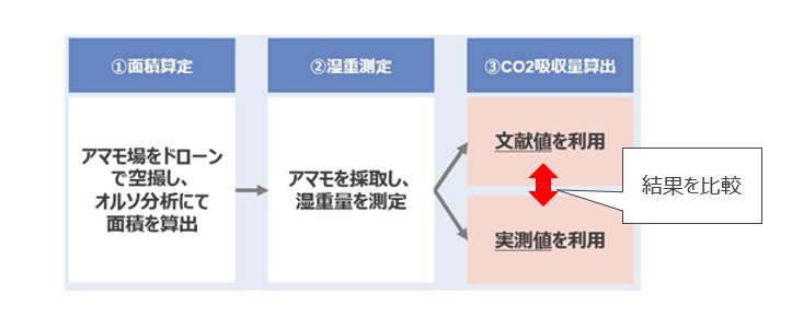 図：実証事業の進め方