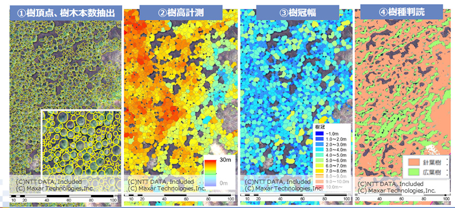 図1:衛星画像を活用した森林解析例