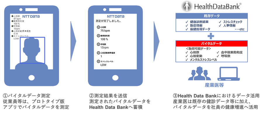 図2：実証イメージ