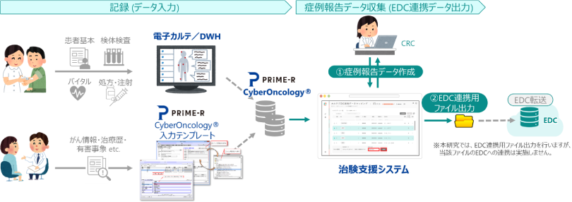 図：実証のイメージ