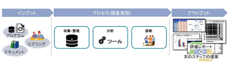 図2:アセスメントの概要