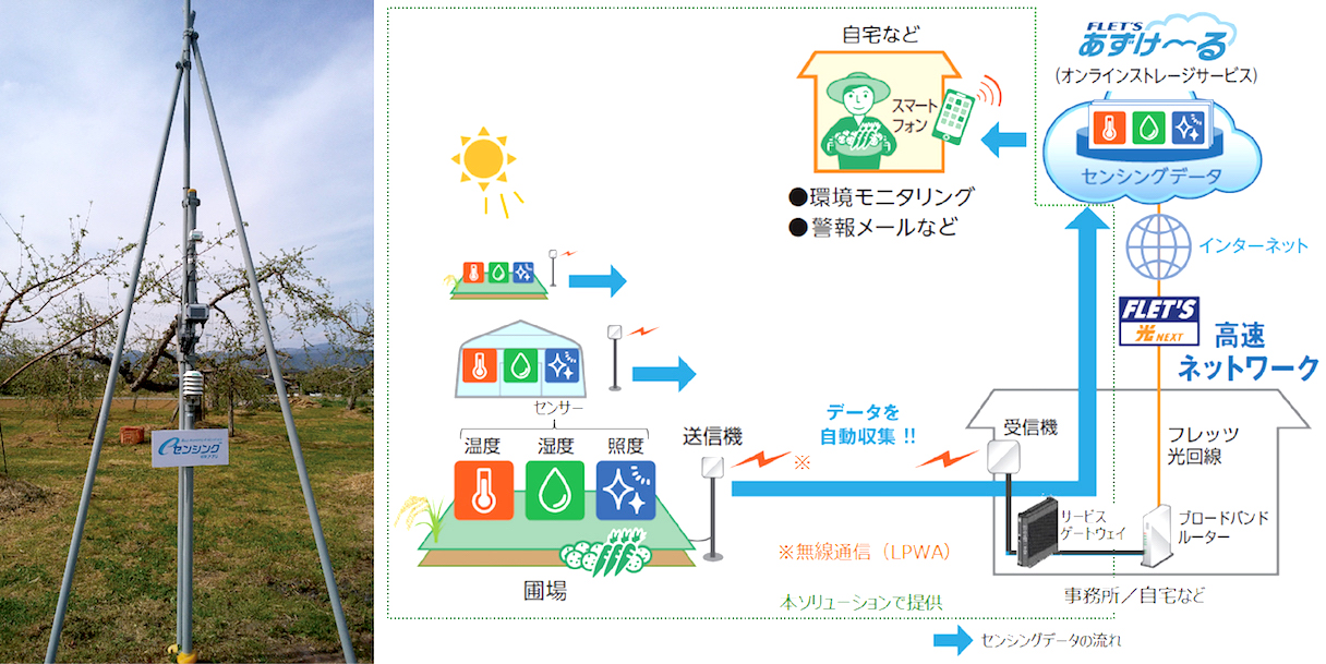 （左）圃場に設置されたセンサー　（右）「eセンシング Forアグリ」の接続イメージ図