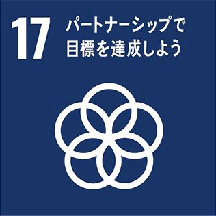 図５：ゴール17