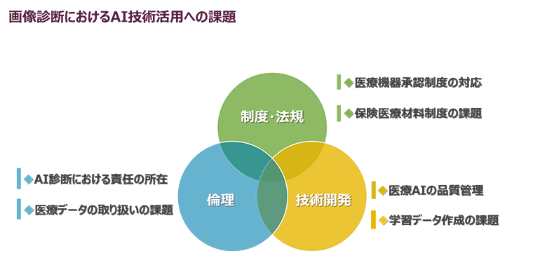 図4：AI画像診断の課題
