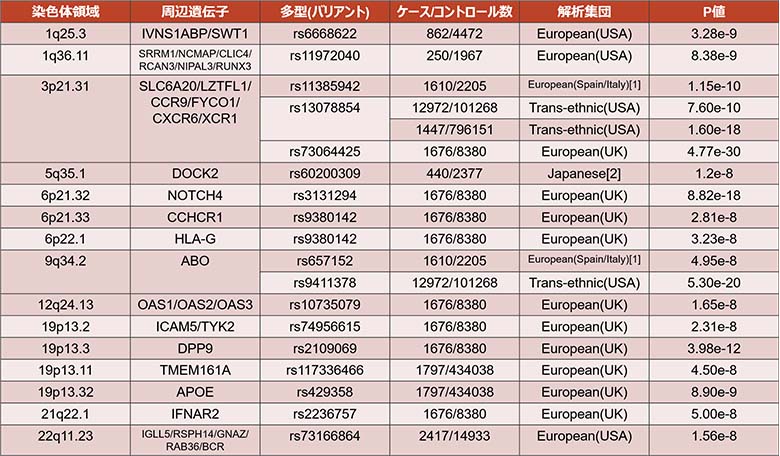 表1：新型コロナウイルスを重症化させる遺伝子の一例