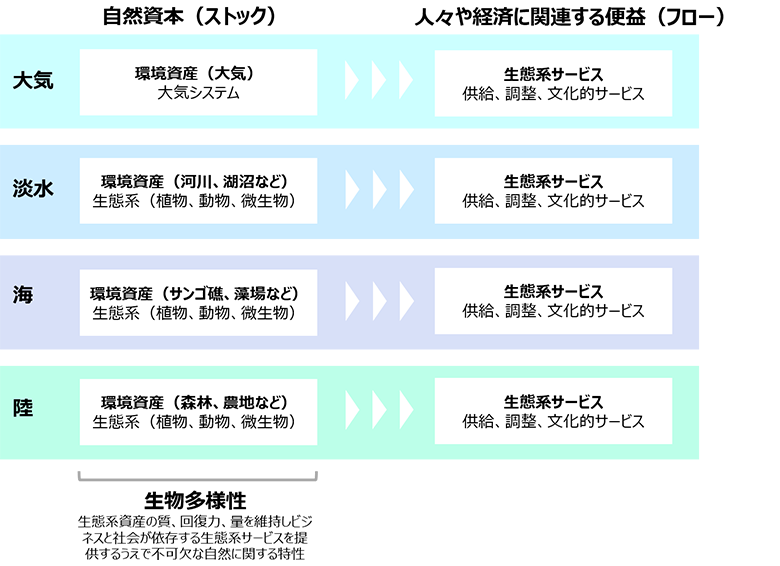 図2：TNFDにおける自然の定義（出典：TNFD情報を元に著者作成）