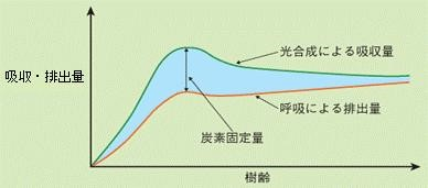 図2：樹木のCO2吸収・排出量の樹齢依存性（出典：林野庁_森林の地球温暖化防止機能について）