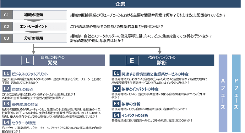 図5：LEAPアプローチのC1,2,3とL・Eフェーズ（TNFD資料より著者作成）