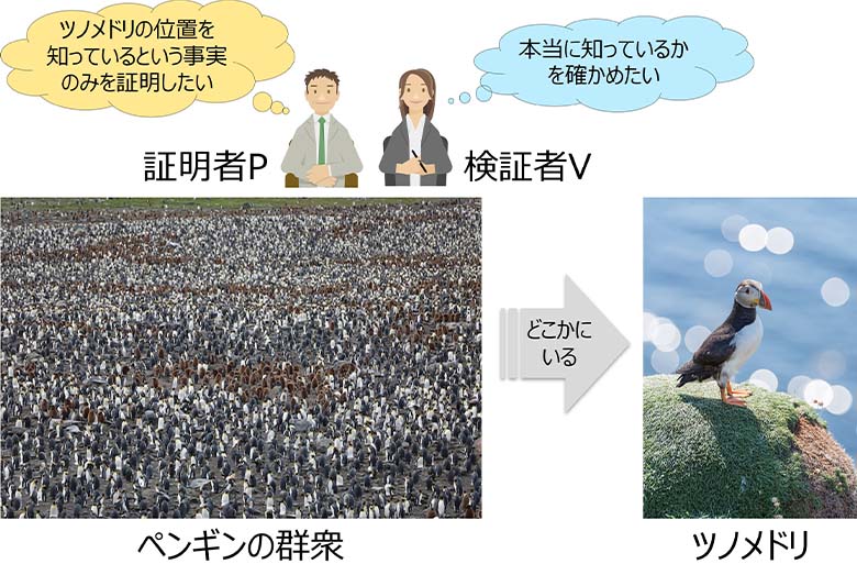 図7：1羽の海鳥を探す問題