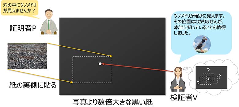 図8：1羽の海鳥を探す問題に対するゼロ知識証明