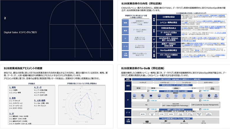 図3：成熟度アセスメントツールを活用したRevOps導入提案資料