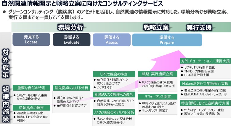 図1：自然関連情報開示に関するコンサルティングサービス概要