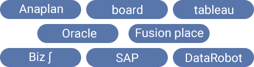 あらゆる経営管理ソリューションの特性を熟知。Anaplan、board、tableau、Oracle、Fusion place、Biz∫、SAP、DataRobot。