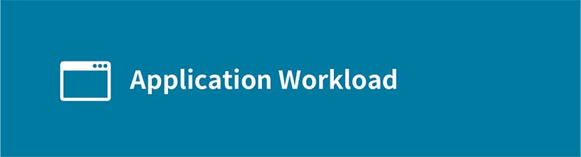 Application Workload